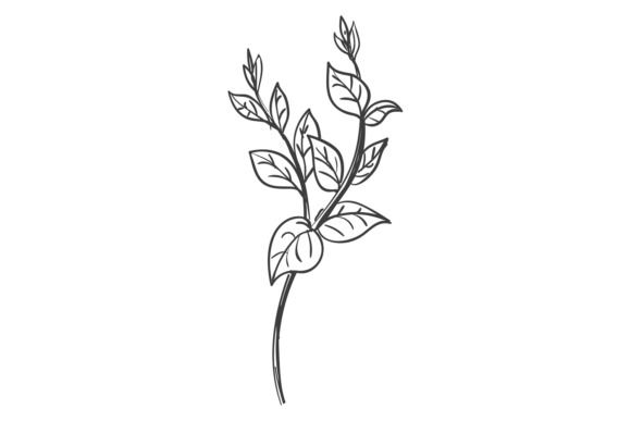 Botanical Element Graphics: Natural Decorative Illustrations