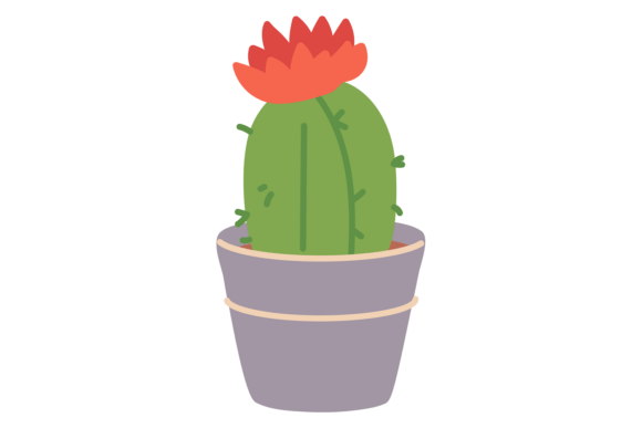 Cacti Flower Houseplant
