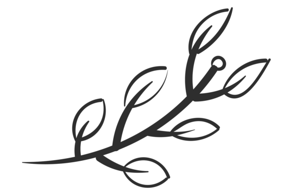 Decorative Branch Drawing: Floral Graphics & Illustrations