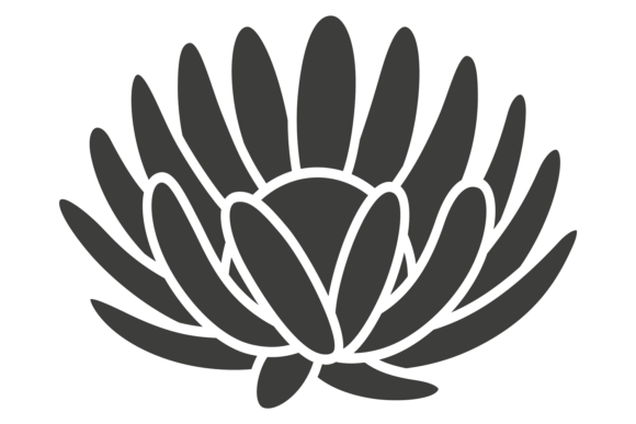 Decorative Lotus Shape Graphics & Illustrations