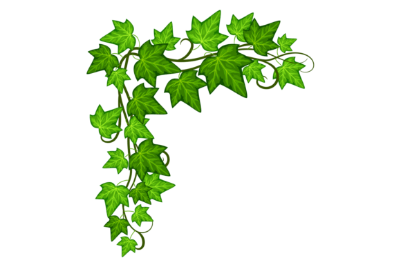 Green Ivy Corner: A Graphic Asset for Natural Branding