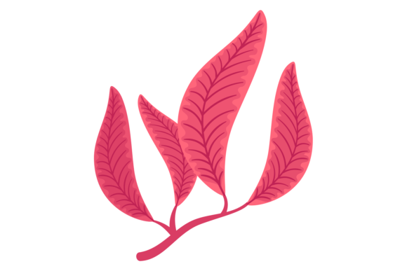 Red Leaves Branch Graphics for Crafting