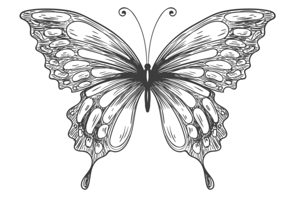Romantic Butterfly Engraving Graphics for Branding